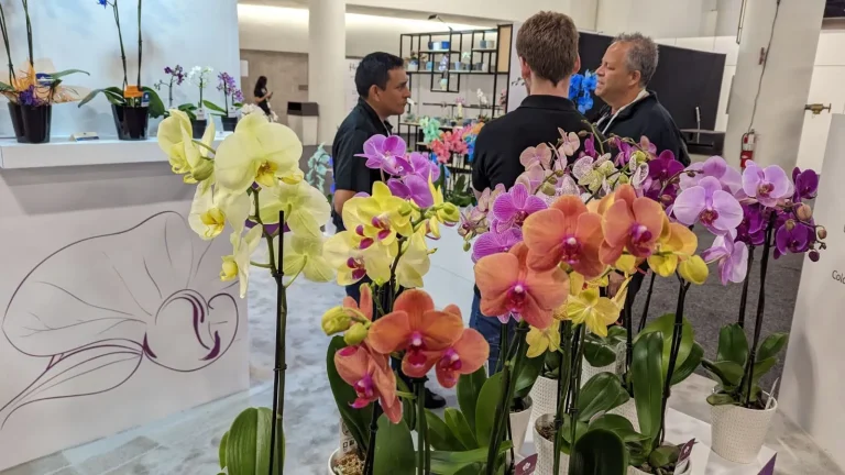 美国劳德代尔堡花卉园艺展览会现场照片2