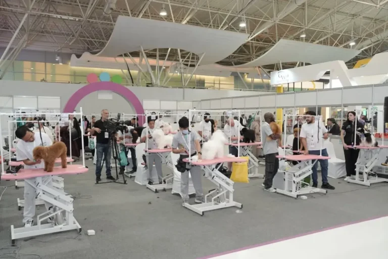 沙特利雅得宠物与兽医展览会现场照片4