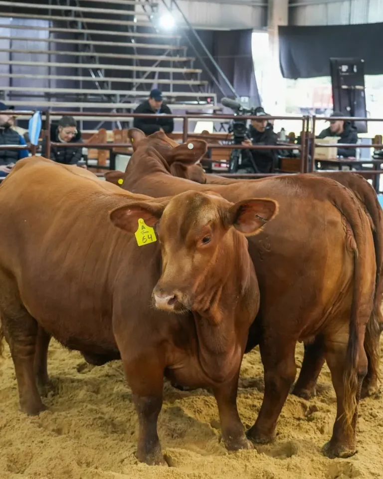 阿根廷农业、畜牧业、农业机械展览会现场照片5