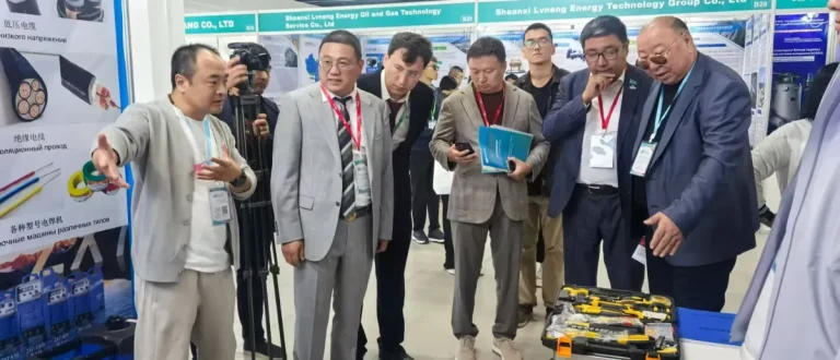 哈萨克斯坦中亚泵阀管线及电机仪表展现场照片1