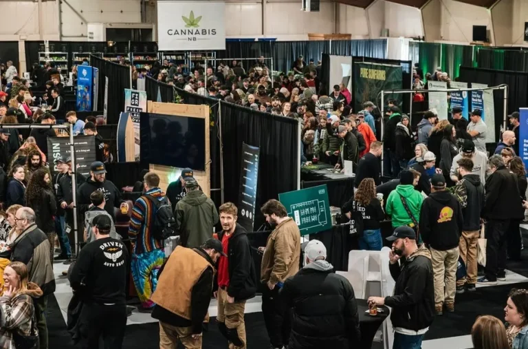 南非约翰内斯堡大麻展览会现场照片3