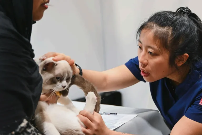 新加坡亚洲猫展现场照片5